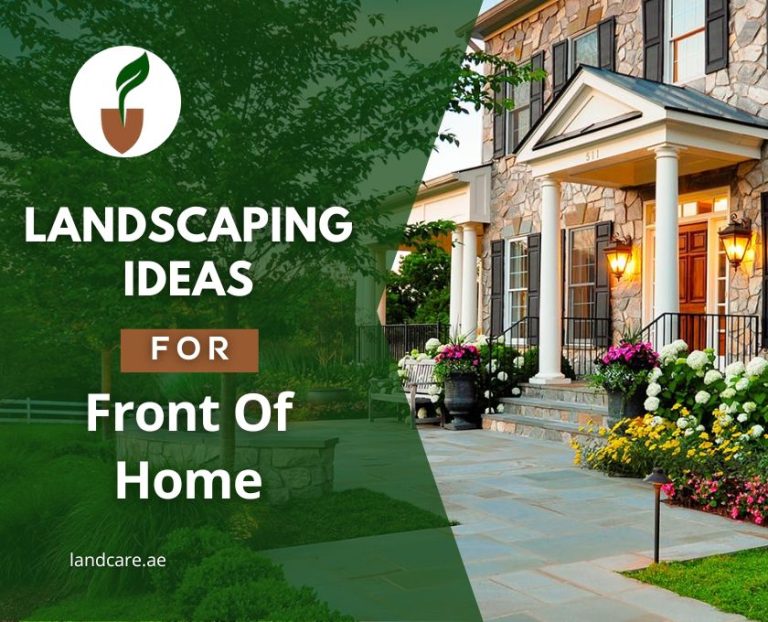 landscaping ideas for front of home