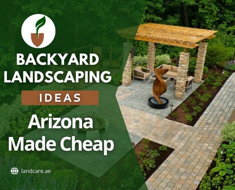 Backyard Landscaping Ideas