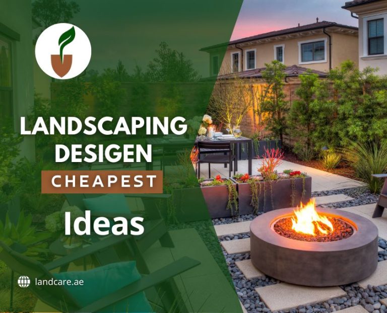 Landscaping Design Ideas