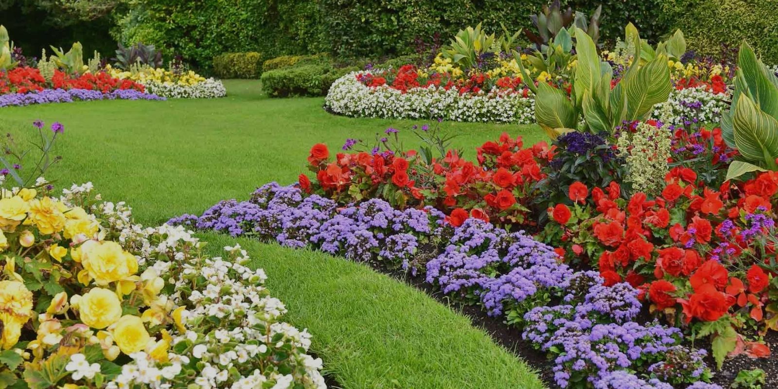 Flower Bed 