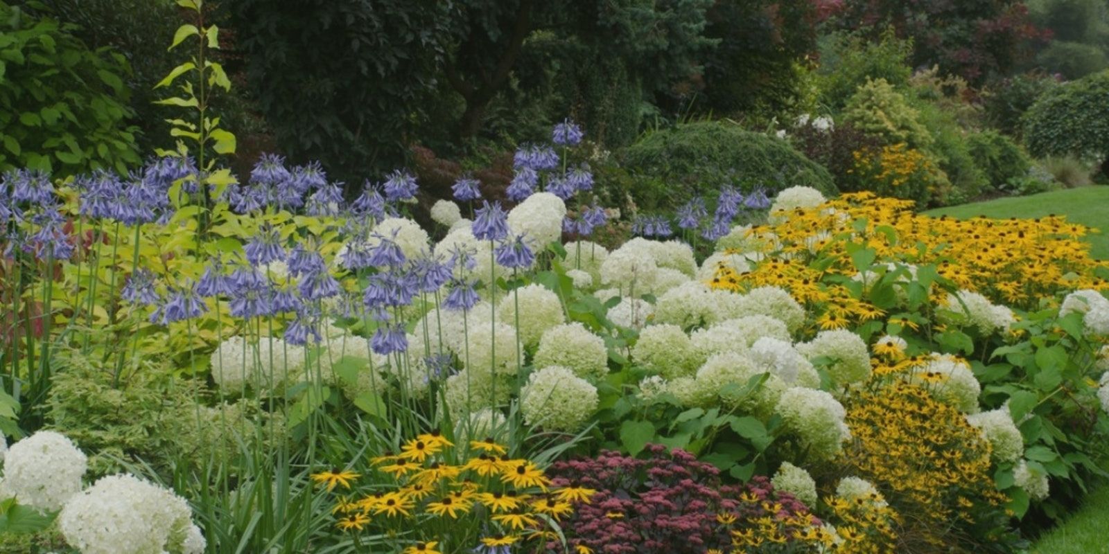 Making Flower bed 