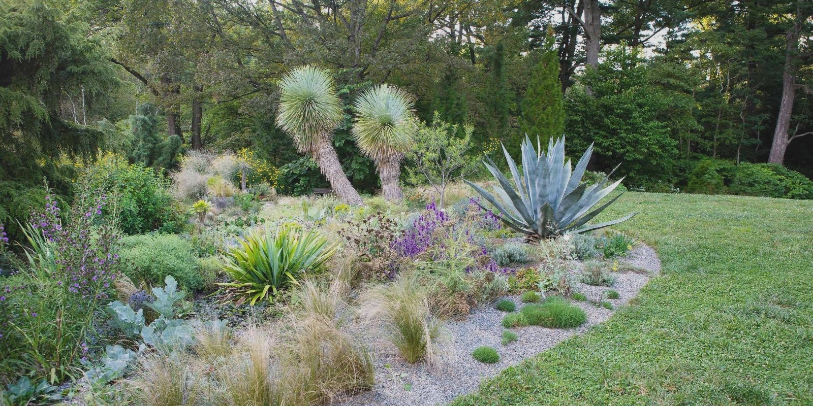 Xeriscaping