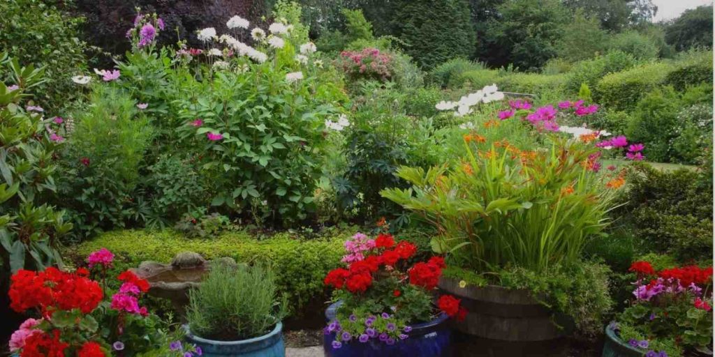 Placing the Flower Pots