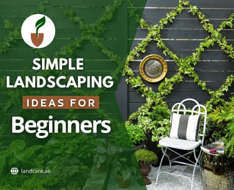 Simple Landscaping Ideas