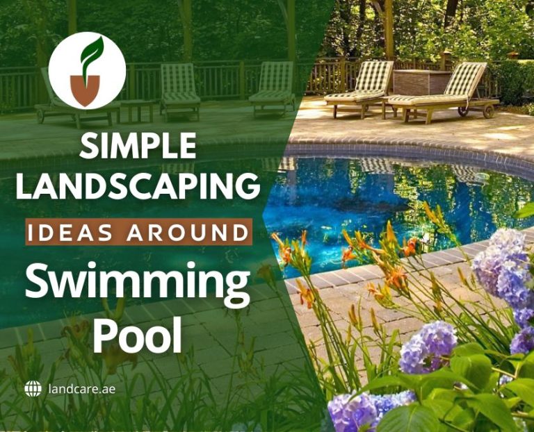 Swimming Pool Ideas