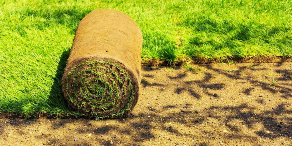 Unrolling the Turf