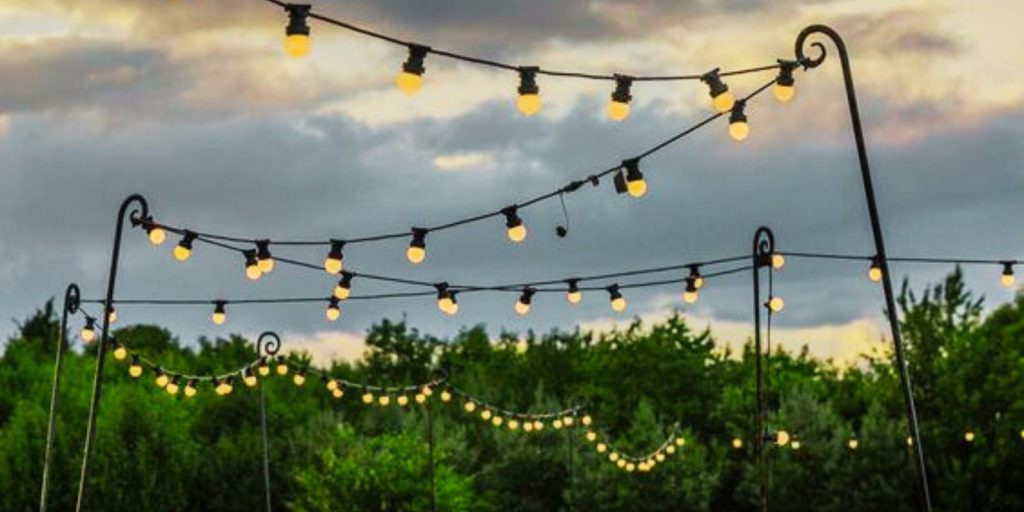 feeston lights hanging in an open area