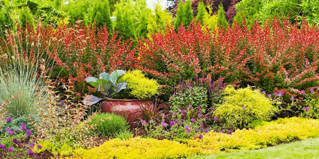 Best Simple Landscaping Ideas Using extraordinary Colors