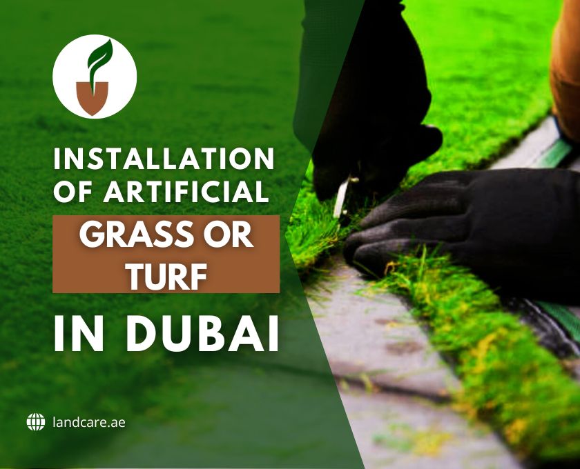 Artificial Grass or Turf