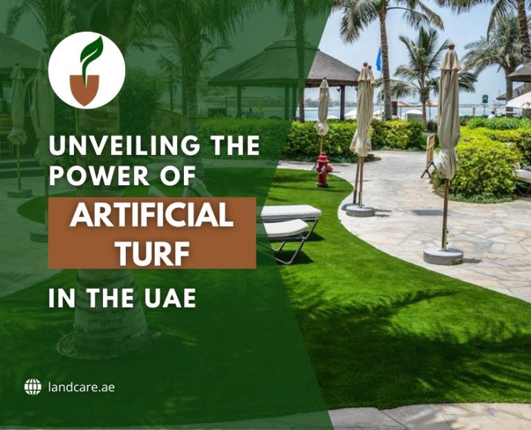 Artificial turf in the UAE