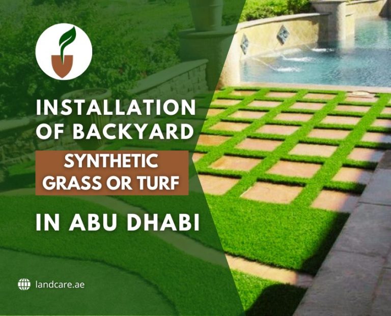 Backyard Synthetic Grass or Turf