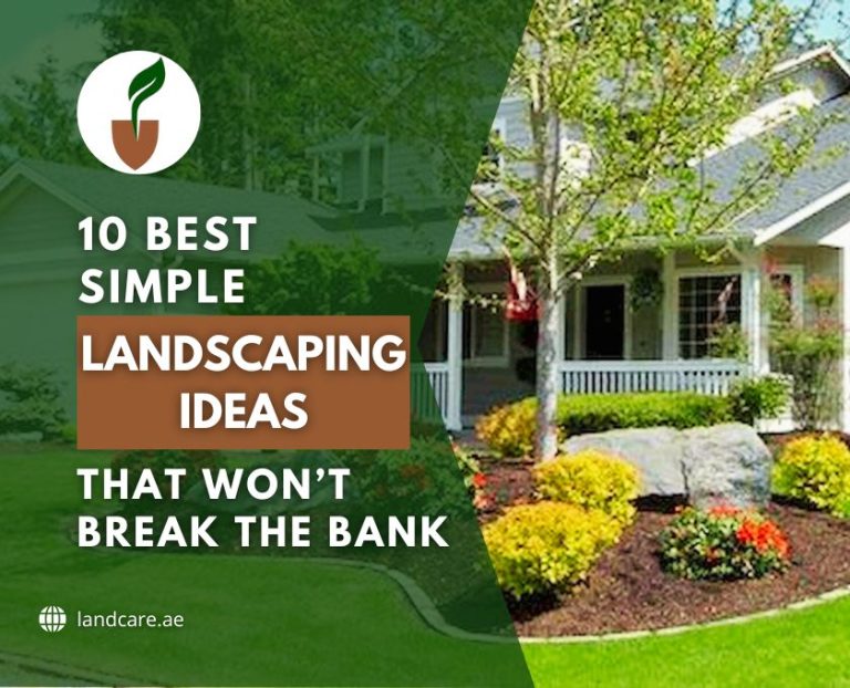 best simple landscaping ideas-landcare-uae