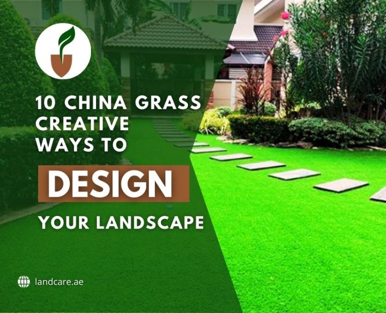 China Grass