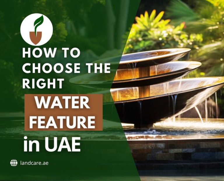 How to Choose the Right Water Feature in The UAE