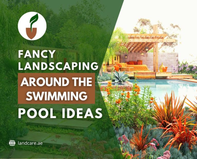 Landscaping Around the Swimming Pool Ideas