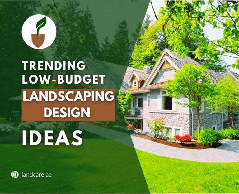 Low-Budget Landscape Design Ideas