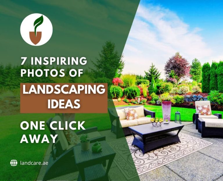 Photos of Landscaping Ideas