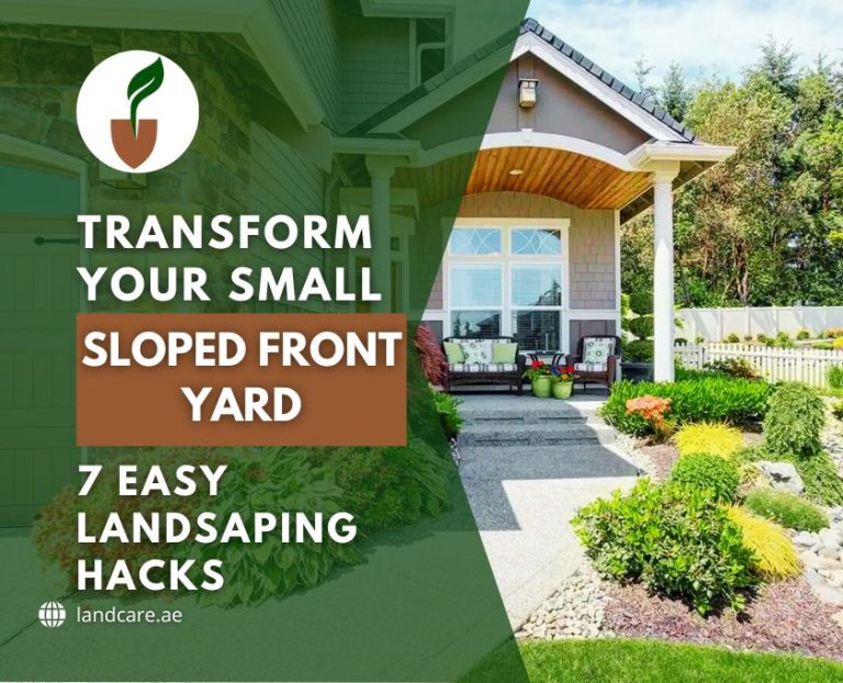 Small Sloped Front Yard