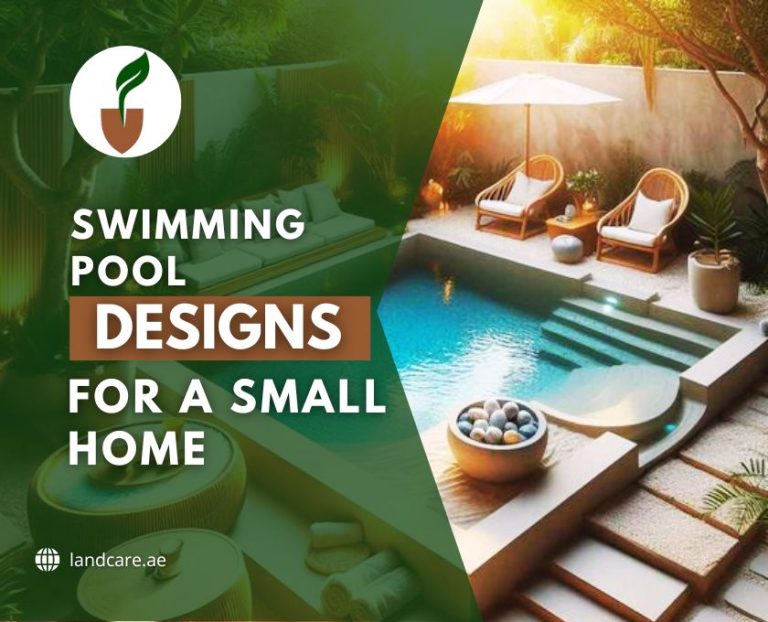 Swimming Pool Designs for a Small Home