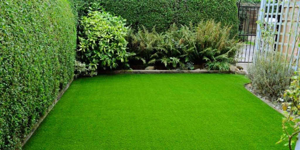 a green lawn with bushes and trees in an outdoor garden or yard. 