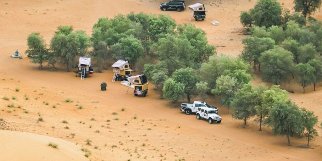  A group of vehicles parked in a field with Ghaf trees