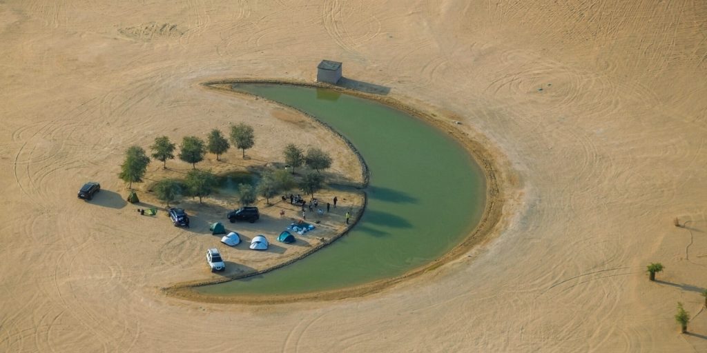 A group of cars parked in a Ghaf trees field.