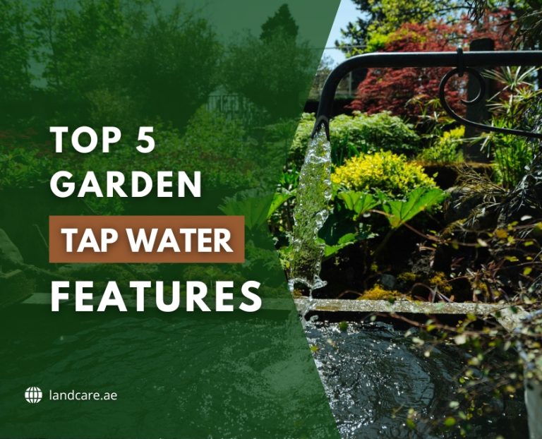 Tap Water Features