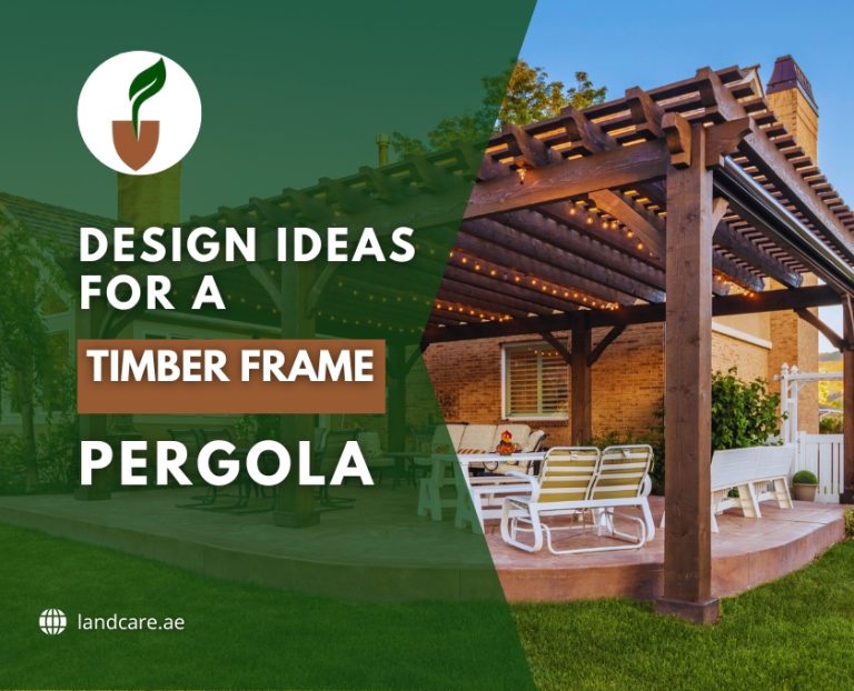 Timber Frame Pergola