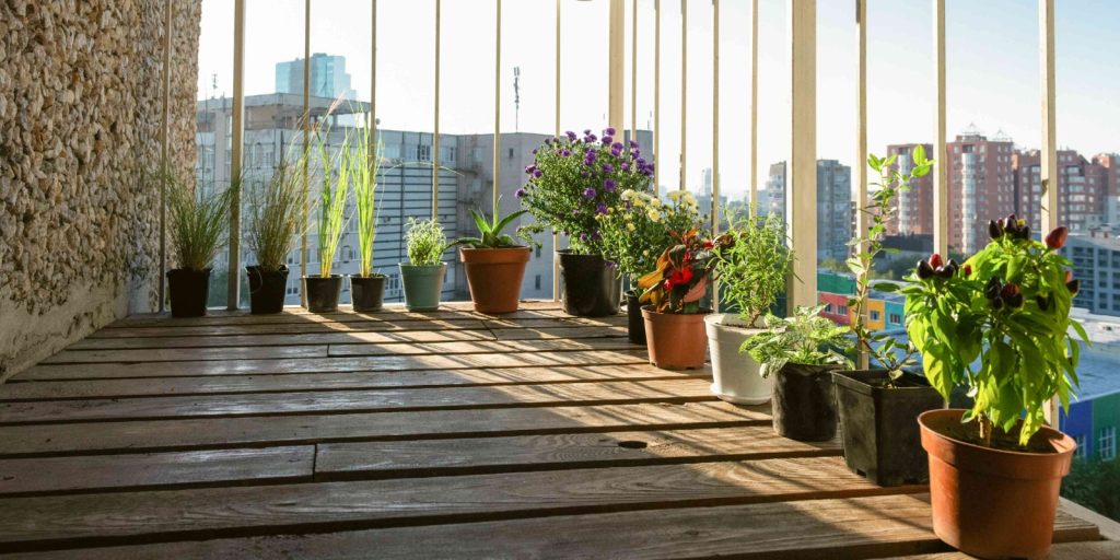 Herb Garden Balcony