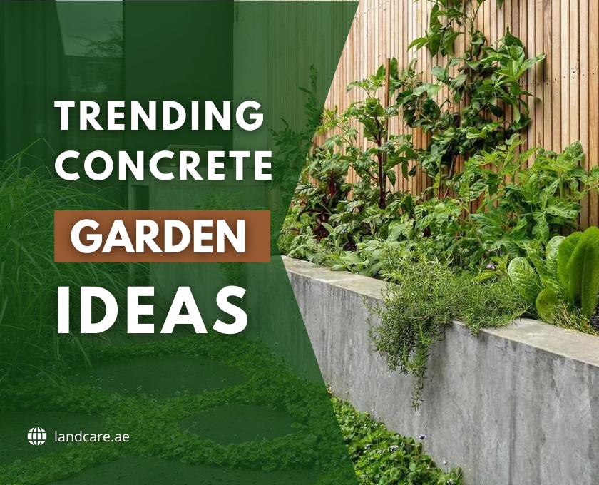 Concrete Garden Ideas