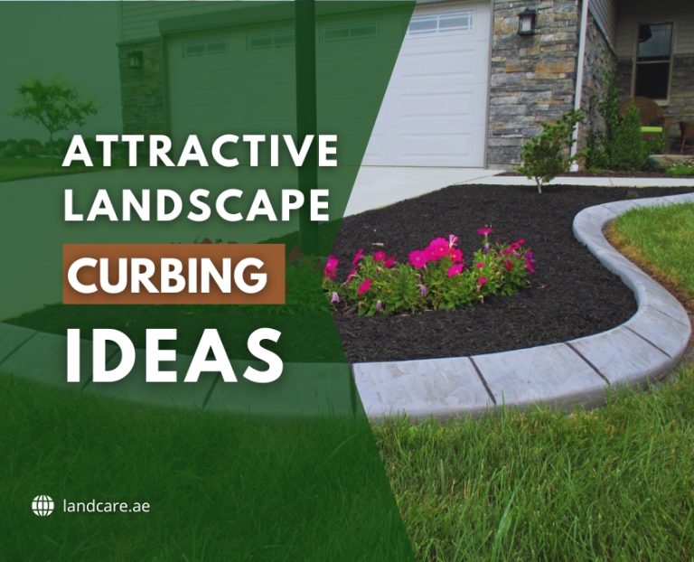 Landscape Curbing Ideas